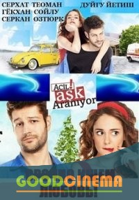 постер к фильму Срочно ищем любовь  1 и 2 серия