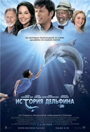 постер к фильму История дельфина
