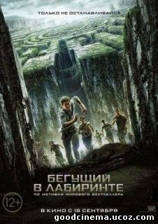 постер к фильму Бегущие в лабиринте 