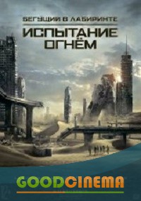постер к фильму Бегущий в лабиринте: Испытание огнём