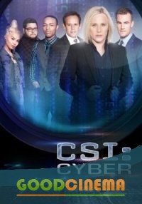 постер к фильму CSI: Киберпространство 1 - 13 серия