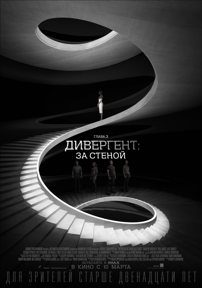 постер к фильму Дивергент, глава 3: За стеной