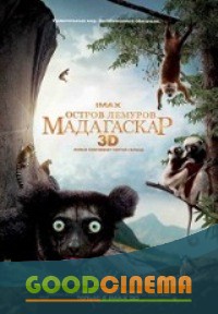 постер к фильму Остров лемуров: Мадагаскар