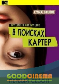 постер к фильму В поисках картер/Поиски Картер 1 сезон 1-12 серия