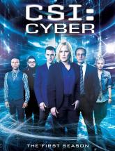 смотреть онлайн CSI: Киберпространство 2 сезон 18 и 19 серия