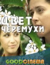 смотреть онлайн Цвет черемухи 1 - 16 серия