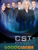 смотреть онлайн CSI: Киберпространство 1 - 13 серия