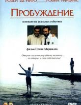 смотреть онлайн Пробуждение 