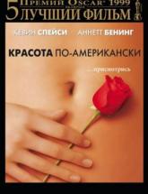 смотреть онлайн Красота по-американски 