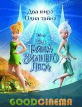 смотреть онлайн Феи: Тайна зимнего леса 