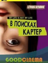 смотреть онлайн В поисках картер/Поиски Картер 1 сезон 1-12 серия