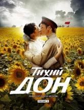 смотреть онлайн Тихий Дон 1 - 14 серия